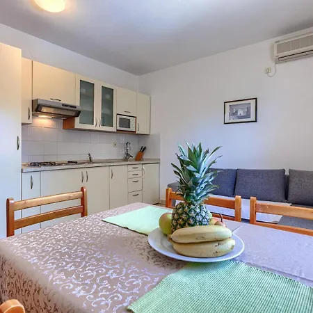 Nino With Shared Pool Guest house Porec