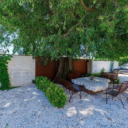 Nino With Shared Pool Guest house